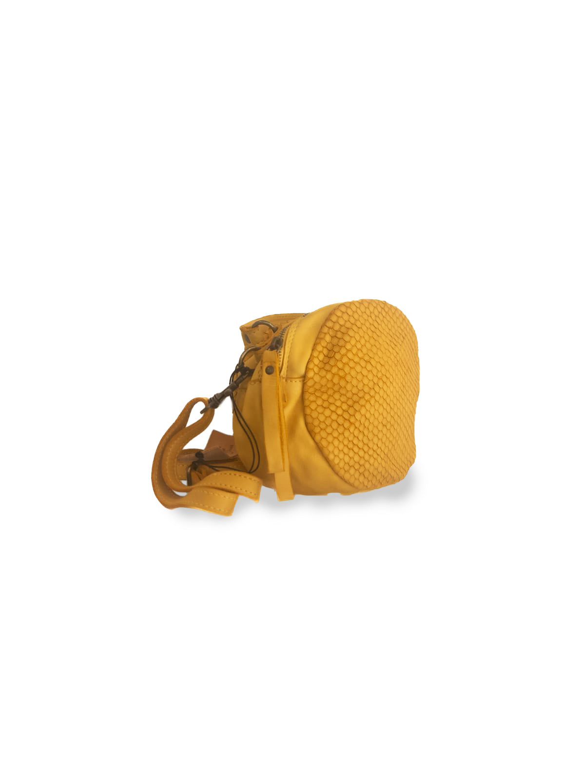 Art. 262 Yellow